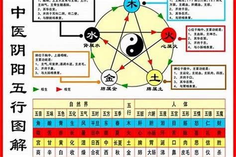 五行命|如何查自己五行什么命 快速查自己的五行属性